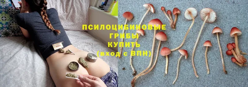 Галлюциногенные грибы GOLDEN TEACHER  Кондопога 